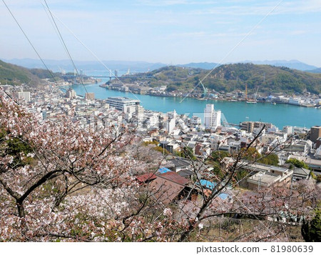 春天尾道千光寺公園（廣島縣） 81980639