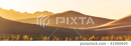 Sand desert Sand desert 81980695