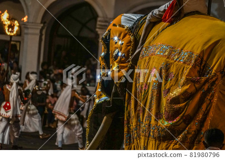 Esala Perahera Festival(斯里蘭卡康提) Esala Perahera Festival(斯里蘭卡康提) 81980796