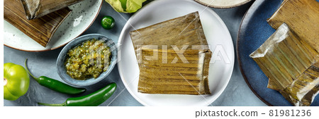 Tamales oaxaquenos panorama, traditional dish of the cuisine of Mexico 81981236