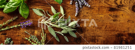 Fresh aromatic herbs panorama with sage and a place for text, shot from above 81981251