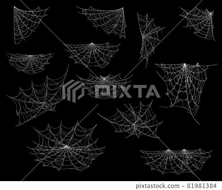 Cartoon spider web and cobweb, Halloween decorations, vector horror night party, vector set. Halloween spiderweb nets on corners on transparent background, holiday trick or treat spooky decor 81981384