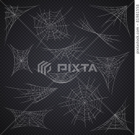Isolated spider web and cobweb, Halloween holiday decorations on vector transparent background. Cartoon spiderwebs or sticky nets on corners, Halloween horror night party spooky decor 81981558