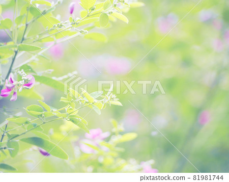 Pretty Hagi Flower Pretty Hagi Flower 81981744