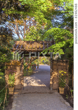 [Higashimukojima, Tokyo] The Tenzen Bamboo Garden Gate covered with maple leaves, which is the entrance to Mukojima Hyakkaen. 81982488