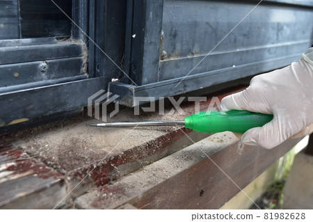 Cleaning before painting the wood deck Cleaning before painting the wood deck 81982628