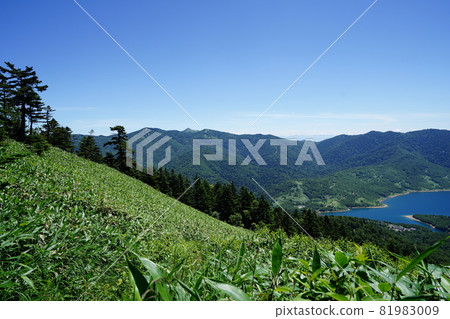 群馬縣野佐里湖 從露營地到三日部山的山路上看到的野佐里湖 群馬縣野佐里湖 從露營地到三日部山的山路上看到的野佐里湖 81983009