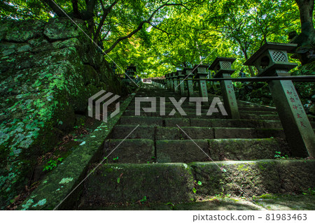 小山的山路,有樓梯和樹木 小山的山路,有樓梯和樹木 81983463