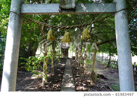 Oyamazumi Shrine (山神社) Torii 81983497