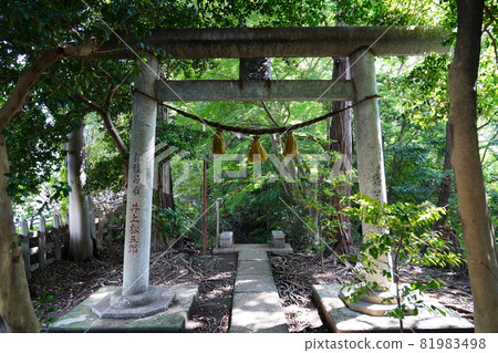 Oyamazumi Shrine (Mountain Shrine) Torii Oyamazumi Shrine (Mountain Shrine) Torii 81983498