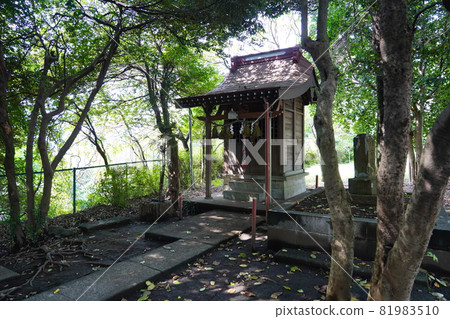 Oyamazumi Shrine (山神社) 神社 81983510