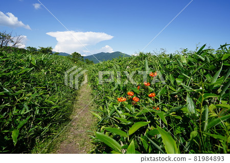群馬縣野堀湖，從蝦夷山山頂到露營地的山脊道路 81984893