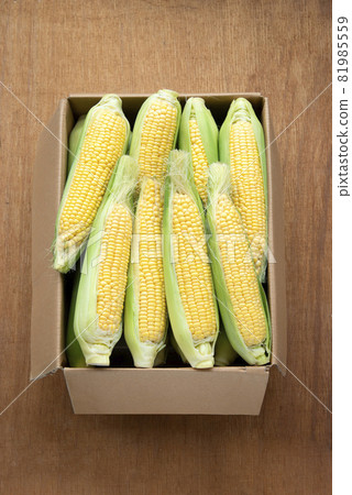 新鮮的玉米 81985559