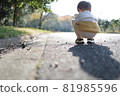 Picking up acorns 81985596