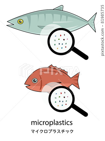 An illustration set with an easy-to-understand image of microplastic inside the body of a fish An illustration set with an easy-to-understand image of microplastic inside the body of a fish 81985735