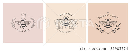 Collection of hand drawn bee, organic honey, logo, emblem, label and packaging design 81985774