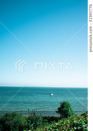 藍色的海 81985776