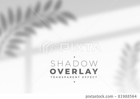 leaves and window pane shadow overlay effect leaves and window pane shadow overlay effect 81988564