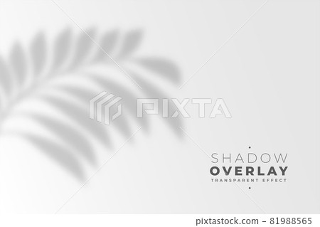 leaves shadow overlay effect background leaves shadow overlay effect background 81988565