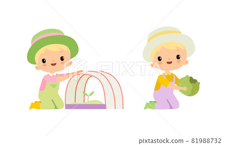 Little Blond Boy in Jumpsuit and Hat at Farm Holding Cabbage and Planting Rootstock Vector Set Little Blond Boy in Jumpsuit and Hat at Farm Holding Cabbage and Planting Rootstock Vector Set 81988732