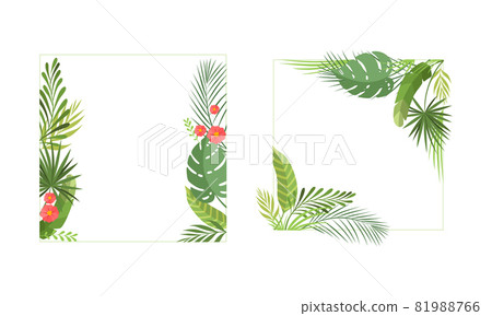 Square Shaped Frame with Green Tropical Leaves and Jungle Foliage Vector Set 81988766