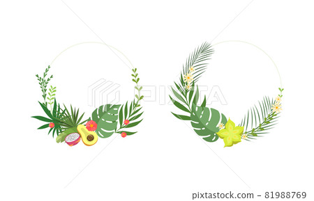 Round Shaped Frame with Green Tropical Leaves and Jungle Foliage Vector Set 81988769