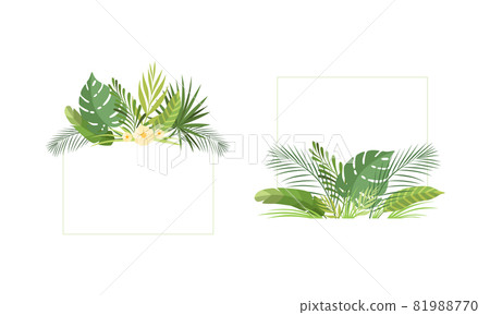 Square Shaped Frame with Green Tropical Leaves and Jungle Foliage Vector Set Square Shaped Frame with Green Tropical Leaves and Jungle Foliage Vector Set 81988770