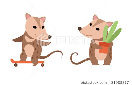 Cute Opossum Animal Holding Plant in Flowerpot and Skateboarding Vector Set 81988817