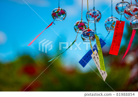 夏日傳統風中搖曳的清涼風鈴 81988854