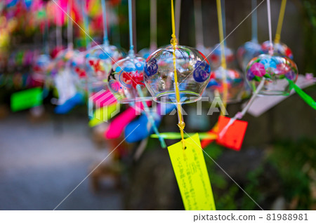 Summer tradition A cool wind chime swaying in the wind Summer tradition A cool wind chime swaying in the wind 81988981