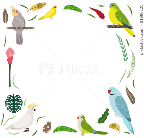Frame template with cartoon exotic birds. Tropical rectangle composition with cockatoo, cockatiel, kakarike and neophema parrots. Design for kid nursery. 81990120