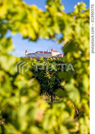 Church of monastery Goettweig near Krems against vineyards in Lower Austria, Wachau, Austria Church of monastery Goettweig near Krems against vineyards in Lower Austria, Wachau, Austria 81990378