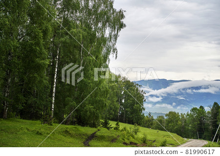 Vacation landscape. Russian Altai mountains. Multa region. Staycation concept Vacation landscape. Russian Altai mountains. Multa region. Staycation concept 81990617