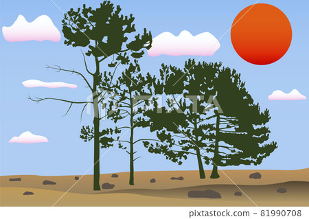 Three Pines 81990708