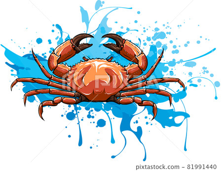 Crab vector illustration in cartoon style. Seafood product design. 81991440