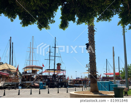 Yacht and sailing vessels anchored in the port Yacht and sailing vessels anchored in the port 81991846