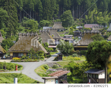 Miyama Kayabuki no Sato with beautiful fresh greenery 81992271