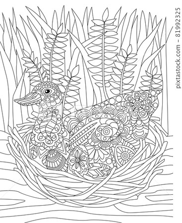 Duck Sitting On Nest With Tall Grass Background Colorless Line Drawing. Wild Goose Nesting On The Ground With Two Eggs Coloring Book Page. Duck Sitting On Nest With Tall Grass Background Colorless Line Drawing. Wild Goose Nesting On The Ground With Two Eggs Coloring Book Page. 81992325