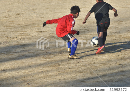 Children's soccer class chasing the ball in the park Children's soccer class chasing the ball in the park 81992372