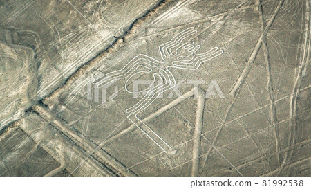 The Spider Nazca Lines aerial view, Peru 81992538