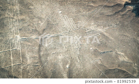 The Hummingbird Nazca Lines aerial view, Peru The Hummingbird Nazca Lines aerial view, Peru 81992539