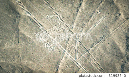 The Dog Nazca Lines aerial view, Peru The Dog Nazca Lines aerial view, Peru 81992540