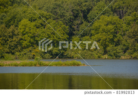 The landscape of Shabbona Lake State Park in Dekalb County, Illinois 81992813