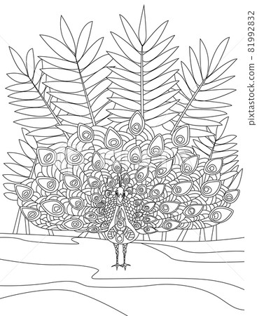 Peacock Standing Spreading Feathers With Tall Bush Background Colorless Line Drawing. Beautiful Peafowl Spreads Tail Coloring Book Page. 81992832