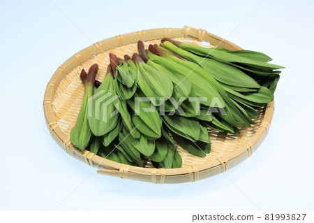 Gyeongjinnik Gyeongjinnik 81993827