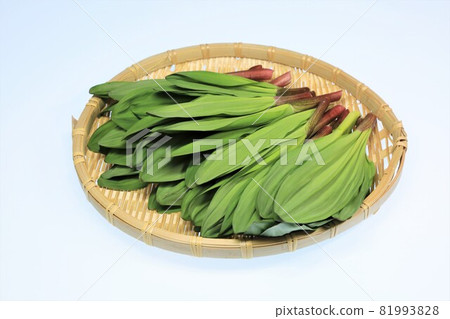 Gyeongjinnik Gyeongjinnik 81993828