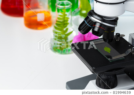 Close up of a plant leaf on a glass slide in a microscope. Biotechnology concept Close up of a plant leaf on a glass slide in a microscope. Biotechnology concept 81994639