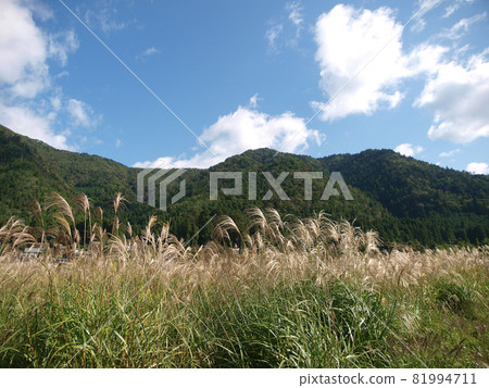 Scenery of Kayaba in Miyama Kayabuki no Sato 81994711