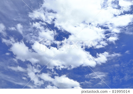 九月 / 秋雲 九月 / 秋雲 81995014