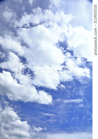 九月 / 秋雲 九月 / 秋雲 81995016